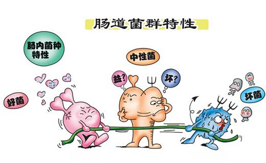 调理反应详解