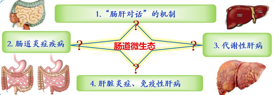 3a86ebeb631be893b445b9316d8ec3af.png